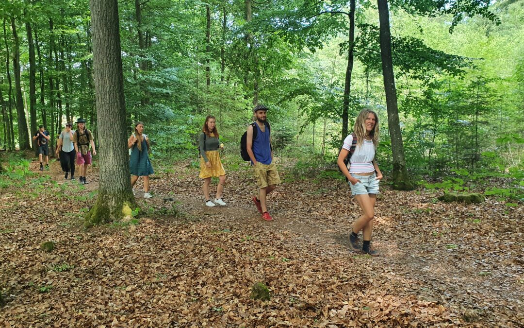 Wöchentlicher NeoLux-Tribe Report – 28. Juni 2023